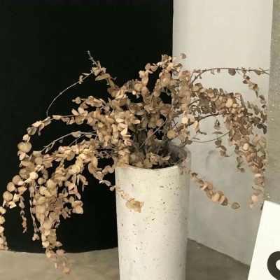 馆陶福瑞交流群